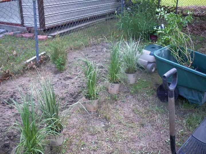 minha aventura de jardinagem, quase terminando de cavar