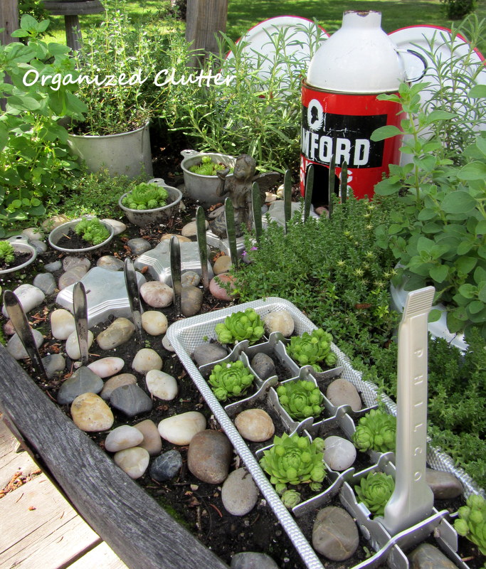 revisiting three whimsical junk garden vignettes, gardening, outdoor living, repurposing upcycling, an ice cube tray butter knife fence pots stones herbs and hen and chicks
