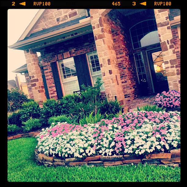 curb appeal curbappeal, flowers, gardening, front beds