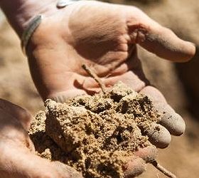 garden tip good soil for beautiful gardens, container gardening, gardening, The difference between good soil and bad soil is visually distinct Clay soil is dry clumpy and light in color
