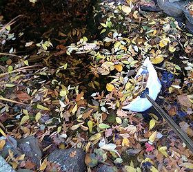 10 tips for preparing your pond for the winter, outdoor living, perennial, ponds water features, Tip 1 Use a long handled Skimmer Net to remove as many leaves as possible to prevent them from decomposing in the Pond