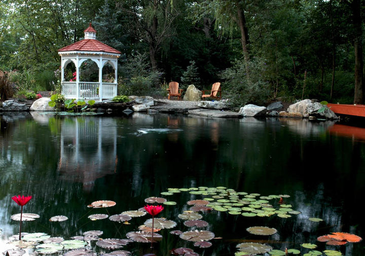 gazebos and ponds some things just go together, gardening, outdoor living, ponds water features, A large pond has a gazebo and firepit nearby