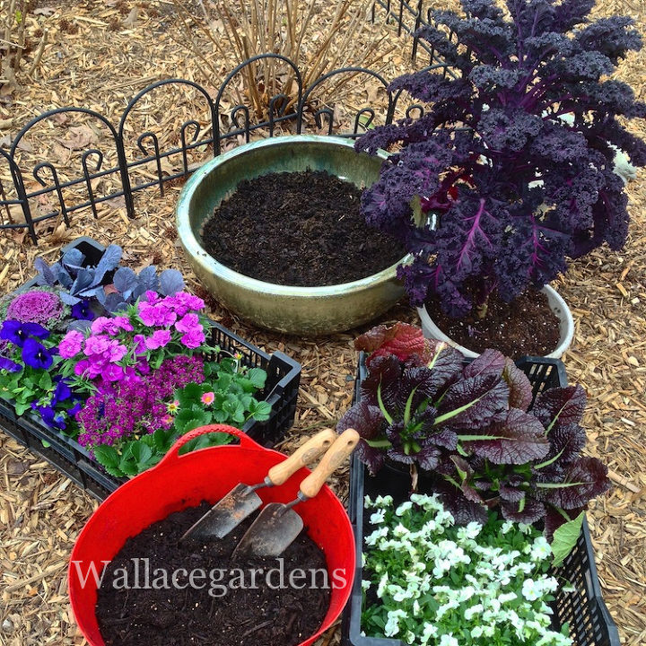 the color purple monochromatic edible container garden, container gardening, flowers, gardening, Assemble all your edible ingredients to make the installation quick and easy Use a good quality potting soil a key to success