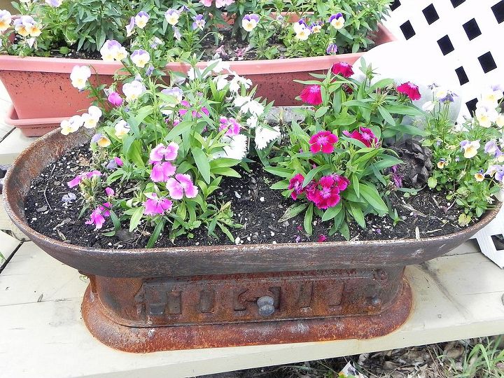 my gardentour, gardening, outdoor living, also a curbside rescue super cute iron stove piece