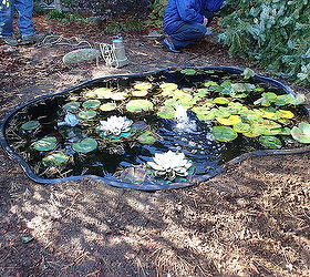 pond makeover in ma, outdoor living, ponds water features, Pond Makeover in MA Before