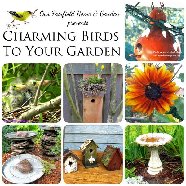 charming birds to your garden, crafts, gardening, pets animals, See a collection of ideas tips and lovely bird pictures from The Garden Charmers
