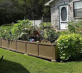 garden box or coffin, flowers, gardening, raised garden beds, repurposing upcycling, Okra has flowers