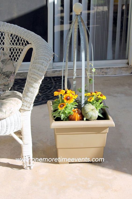 fall small container gardening and pet proof garden ideas, container gardening, flowers, gardening
