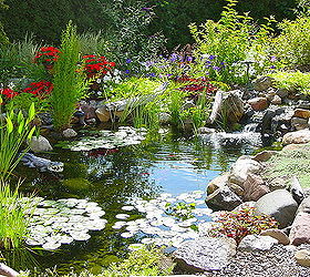 q can anyone give me some good reasons to get a pond just asking, ponds water features, Waterfall Fish Pond Water Gardens Ponds Waterfalls Ecosystem Ponds Pond Plans Streams Outdoor Living Outdoor Life Styles Butterfly Gardens Water Features Bird Baths by Acorn Landscaping of Rochester NY 585 442 6373