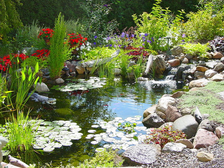 q can anyone give me some good reasons to get a pond just asking, ponds water features, Waterfall Fish Pond Water Gardens Ponds Waterfalls Ecosystem Ponds Pond Plans Streams Outdoor Living Outdoor Life Styles Butterfly Gardens Water Features Bird Baths by Acorn Landscaping of Rochester NY 585 442 6373