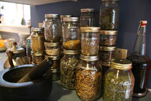 harvesting and preserving herbs, gardening, Storing preserved Herbs in mason jars