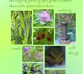 12 charming gardens personal spaces for inspiration, gardening, outdoor living, succulents, Garden of the Goddess
