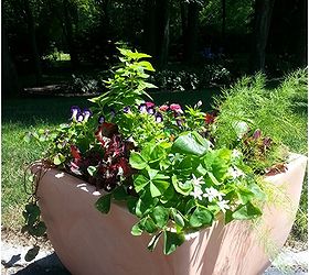a vegetable and herb planter pretty enough for the front door, container gardening, flowers, gardening, outdoor living, Stop by the blog to enter to learn all about planting a mixed container garden and to enter to win your own large Brolly container garden