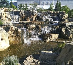 certified aquascape contractors aquascape ecosystem pond installation shedd, outdoor living, ponds water features, These Spectacular Waterfalls were Installed at The Shedd Aquarium a year earlier