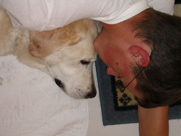 farewell to my great friend amp companion, pets animals, Cuddling with my son Robby