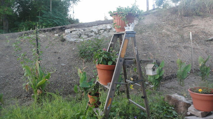 ladder shelves, gardening, repurposing upcycling, shelving ideas, i was able to fit 3 differnt pots on here