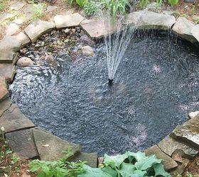 i am inviting you all to see my pond now that it is clean, landscape, outdoor living, ponds water features, View from my deck