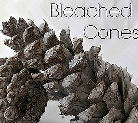 bleached pine cones, crafts, These bleached pine cones are so easy and beautiful