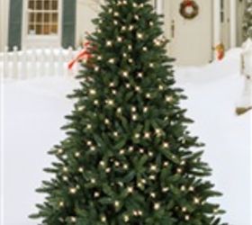 christmas tree, christmas decorations, gardening, landscape, outdoor living, seasonal holiday decor