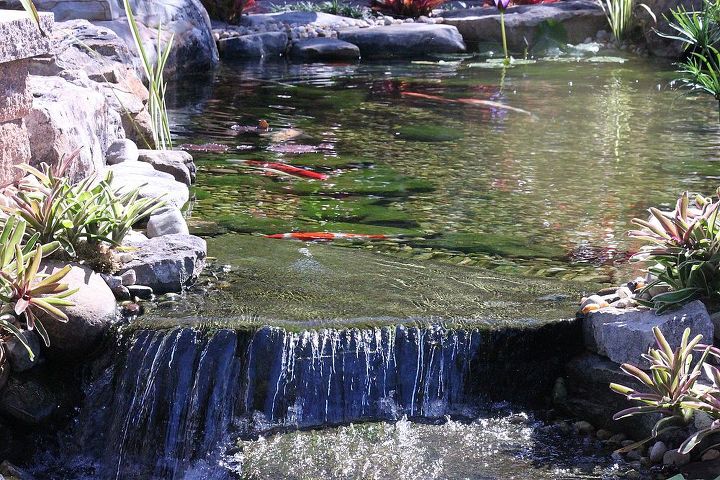 orlando koi pond by pondtastic, ponds water features, Love waterfalls can you see the fish swimming in the pond