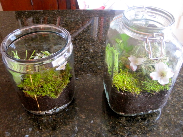 ireland in a jar, crafts, terrarium, layer rocks and soil