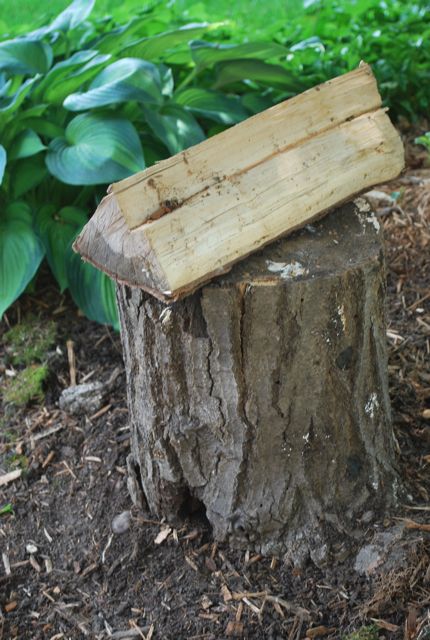 you can make a fairy garden cottage out of a stump, crafts, gardening
