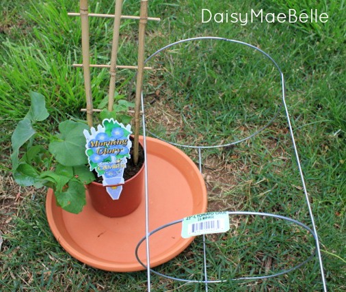 diy tomato cage bird bath, crafts, gardening, repurposing upcycling