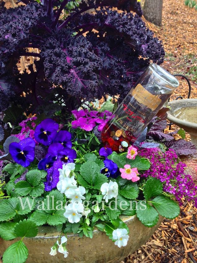 wine bottle watering device with copper tubing for container gardens