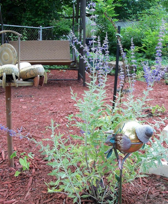 pretty in purple, flowers, gardening, Russian sage