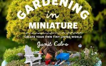  Crie seu próprio pátio de jardim em miniatura