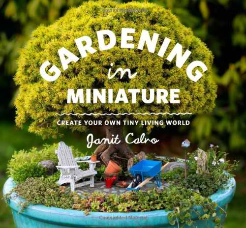 cree su propio patio de jardn en miniatura, Jardiner a en miniatura por Janet Calvo