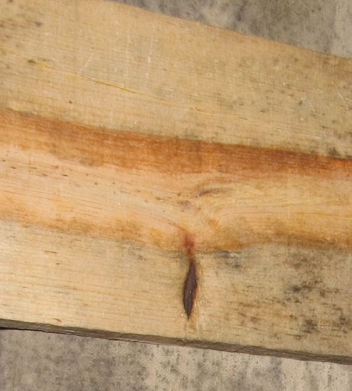 q help beauty in pallet wood 2 what to do, Amazing how this actually looks like a leaf coming off the branch