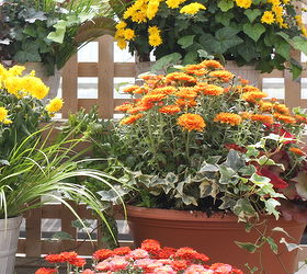 fall planters and gardening tips, container gardening, gardening, seasonal holiday d cor, Yellows Oranges and rich reds