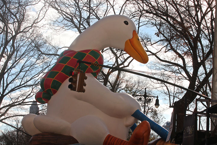 id needed re characters in entertainment, seasonal holiday d cor, thanksgiving decorations, An unidentified bird marches flies in Macy s 2013 Thanksgiving Parade View Three at CPW