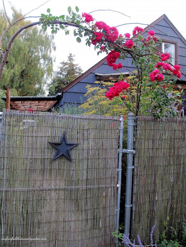 bricolaje embellecer una valla de eslabones con bamb, La pantalla de bamb crea privacidad para este jard n de casa de campo