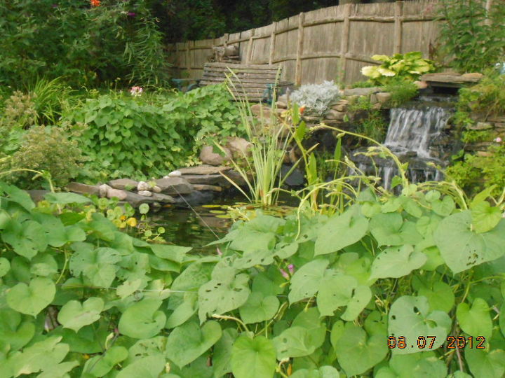 our personal oasis, gardening, landscape, ponds water features