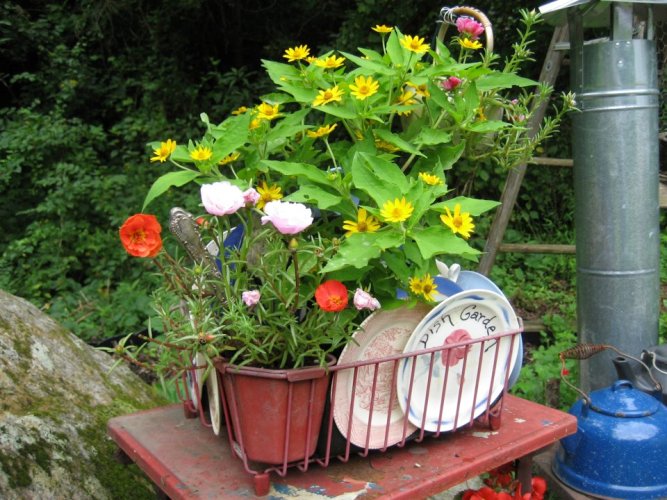 gardening forever housework whenever, gardening, repurposing upcycling, Barbara Stanley s cutest dish strainer