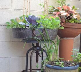 garden journal, container gardening, gardening, outdoor living