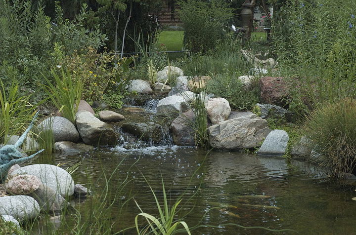 rocky mountain waterscape water feature, landscape, ponds water features, A great spot to spend a lazy afternoon