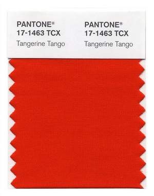 pantone announced tangerine orange as the color of the year for 2012 here is a link, home decor, painting