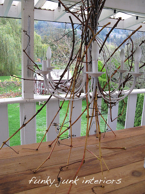 light up your life with a twig chandelier, crafts, lighting, Starting with a thrift store chandy I sprayed it white then gathered up grapevines and willow tree branches both while still green