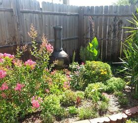 q what could i do to make my frontyard garden pop, gardening, outdoor living, Another photo of one of my backyard gardens
