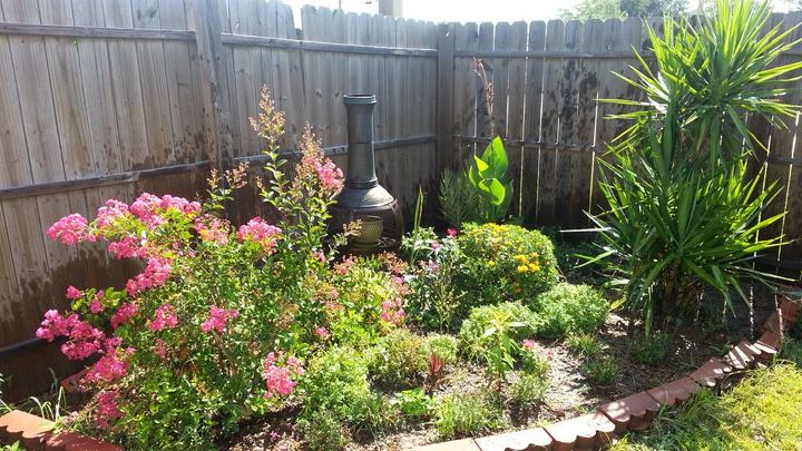 q what could i do to make my frontyard garden pop, gardening, outdoor living, Another photo of one of my backyard gardens