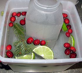how to make ice luminaries, outdoor living, seasonal holiday decor, Fill with water cranberries limes evergreens and