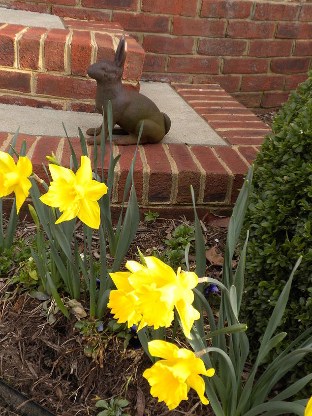 can someone tell me what kind of animal this was in my yard, The best kind of rabbit to have in the garden a faux rabbit