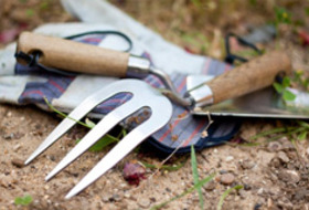 clean your garden tools, tools