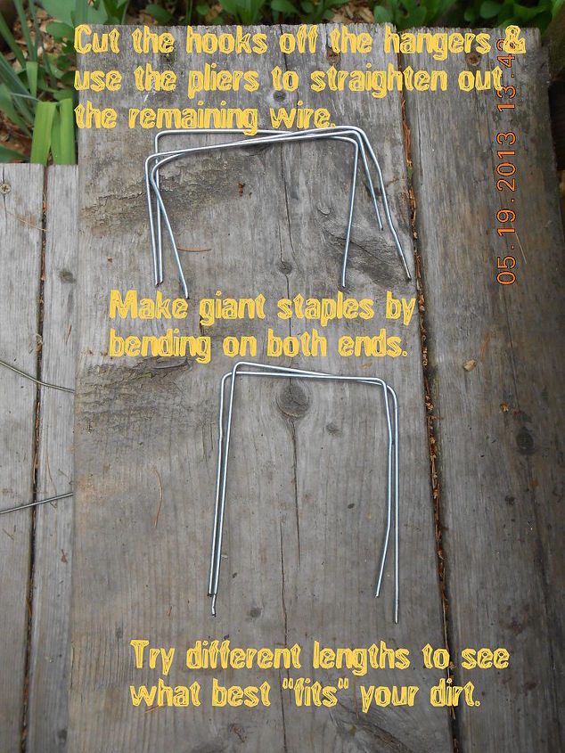 using wire coat hangers to hold down garden fabric, gardening, repurposing upcycling, Make staples in different sizes