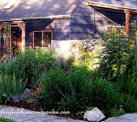 diy beautify a chain link fence with bamboo, diy, fences, outdoor living, Bamboo screening covers the chain link fence and creates a natural backdrop for plantings