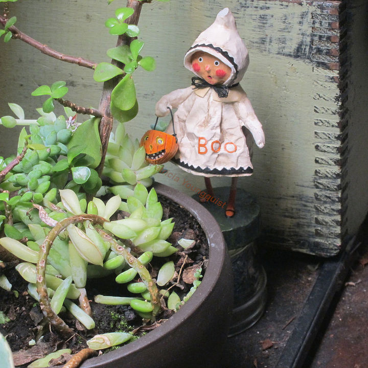 conclusion of follow up halloween decor part 4 of 4, flowers, gardening, halloween decorations, seasonal holiday d cor, succulents, thanksgiving decorations, Miss BOO in awe of a grouping of plants in my SUCCULENT GARDEN