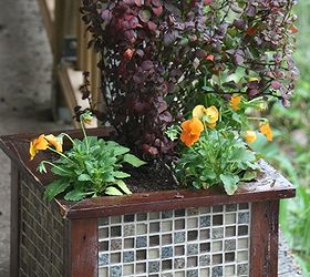 make a tiled garden container planter for frugal upscale decor, container gardening, diy, flowers, gardening, how to, perennial, This simple wooden container was transformed into upscale garden and porch decor with 20 worth of tiles Stunning transformation It s planted with a Japanese barberry and bright orange violas for a fiery fall color scheme
